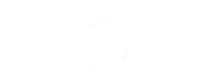 NASA logo